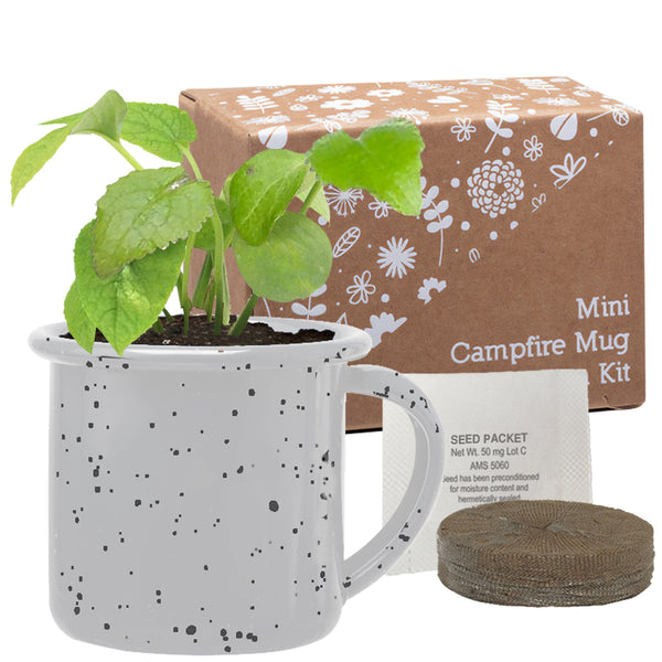 Add Your Logo: Petite Mug Blossom Kit