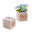 Nurse Appreciation Plant Cube - Nursing is a Work of Heart